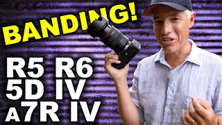 Canon EOS R5 Image Quality vs R6 R 5D Mk IV 5DSR amp Sony a7R IV [upl. by Elset337]