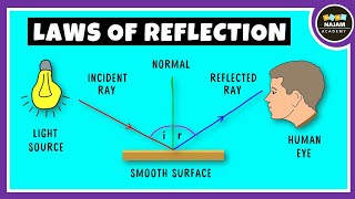 Laws of Reflection of Light Physics [upl. by Asselam]