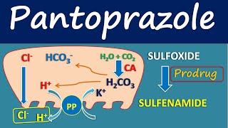 Pantoprazole  Mechanism side effects and uses [upl. by Yruy]