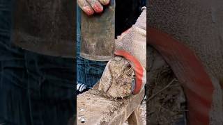 Stressrelieving donkey hoof repair [upl. by Lock]