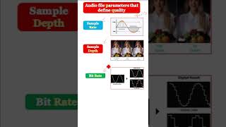 Sample Rate  Sample Depth  Bit rate  Audio file parameters that define quality [upl. by Ecirtam]