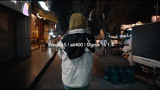 ZHIYUN WEEBILL S REVIEW with SONY a6400 [upl. by Gnues]