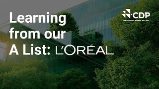 quotEverything is interconnectedquot Why sustainability is key for LOréal [upl. by Edrahc]