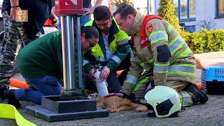 Brandweer redt huisdieren bij woningbrand Mijdrecht  0297nl [upl. by Cressi525]