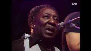 MUDDY WATERS BLUESBAND 1977 [upl. by Anahsit]