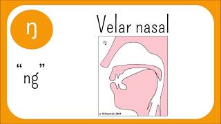 The Sounds Of English Episode 3 Nasals and Approximants Sonorants [upl. by Chery]