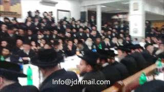 Lag Baomer 5776 With R Leibish Of Pshevorsk In Antwerp [upl. by Leraj]