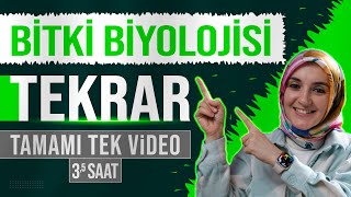 13 Bitki Biyolojisi FULL TEKRAR  12 Sınıf Biyoloji  AYT Biyoloji Konu Anlatımı 13 [upl. by Sanfourd885]