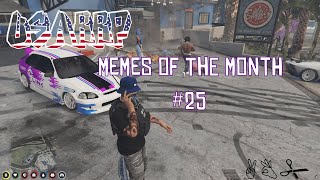 FiveM USARRP Memes of the Month 25 [upl. by Kevina]