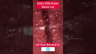 Dairy Milk Kaise Banta Hai dairymilk facts factory [upl. by Nalyr135]