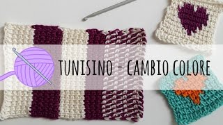 Tutorial uncinetto tunisino  cambio colore [upl. by Adnilem]