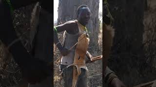 Hadzabe huntergatherer demonstrating how they hunt baboons in Tanzania [upl. by Yrehcaz201]