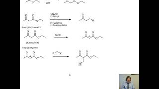 Acetoacetic ester synthesis [upl. by Fernyak]