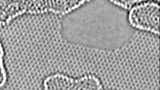 Carbon atoms moving at the edge of a hole in graphene [upl. by Ennaeerb]