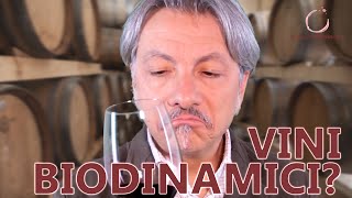 VINI BIODINAMICI COSA SONO [upl. by Stedman122]