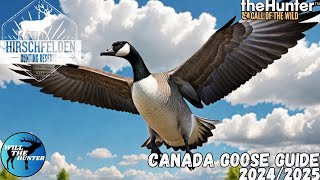 Hirschfelden Canada Goose Guide  TheHunter Call Of The Wild 2425 [upl. by Ilojne]