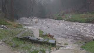 Flooding at hardcastle crags and Gibson mill [upl. by Ahsinahs]