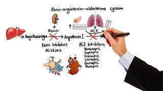 Pharmacology  HYPERTENSION amp ANTIHYPERTENSIVES MADE EASY [upl. by Loy]