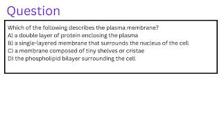 Which of the following describes the plasma membrane [upl. by Aibsel]