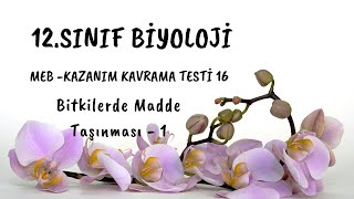 16 12 SINIF BİYOLOJİ MEB KAZANIM KAVRAMA TESTİ Bitkilerde Madde Taşınması 1 [upl. by Kosel]