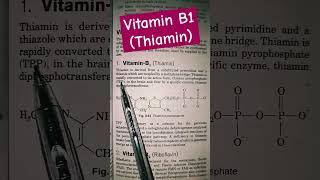 Vitamin B1 Thiamine ytshorts biology sciencesolvers [upl. by Aicala960]