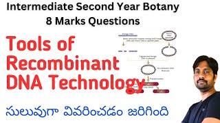 Tools of Recombinant DNA Technology Explained in Easy Way  Sr Botany 8 Marks Questions [upl. by Tevlev]