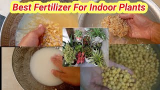 Best Fertilizer For Indoor Plants [upl. by Ametaf]