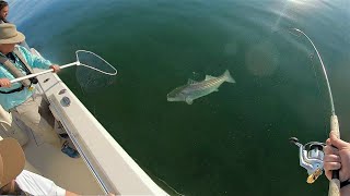 Maryland Striper Fishing Light Tackle CLEAR Water Spring 2022 [upl. by Nikaniki]