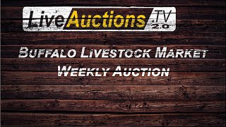 Buffalo Livestock Preconditioned Weaned Calf amp Yearling Auction [upl. by Everick]