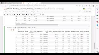 Data Manipulation Handling the dataframe column names in Pandas  Renaming the column names [upl. by Glynn]