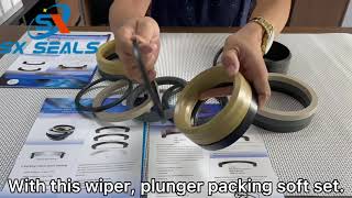 Plunger pump packing manufacturer from Mr Leo ZhaoSX Seals [upl. by Jermayne]