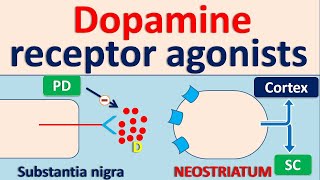 Dopamine receptor agonists for Parkinson Disease PD [upl. by Idnor]