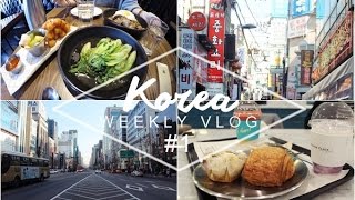 AUSLANDSSEMESTER ANKUNFT amp DIE ERSTEN TAGE  Korea Weekly Vlog 1  louallure [upl. by Schiff]