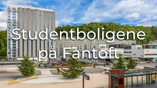 Livet i studentbolig på Fantoft [upl. by Annoyik]