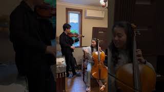 Eternal classic celloampviolin Tchaikovsky classical music violin stradivarius [upl. by Leahplar]