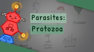 Parasites Protozoa classification structure life cycle [upl. by Violet896]