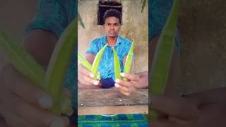 bhindi ki sabji banane ki vidhi  shortvideo village lifestyle [upl. by Tumer18]