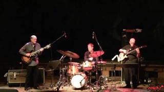 John Scofield Trio  Green Tea 2010 X 24 Katowice PL [upl. by Leumas]