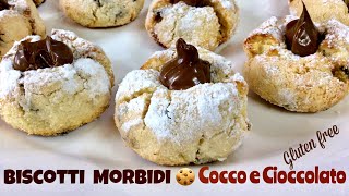 BISCOTTI MORBIDI COCCO E CIOCCOLATO senza glutine  COCONUT and CHOCOLATE COOKIES  TUTTI A TAVOLA [upl. by Blackmun]