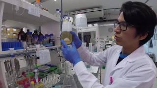 Expresión de proteínas recombinantes Inducción y lisis bacteriana [upl. by Caputto]