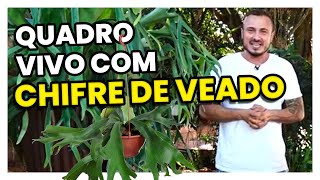 APRENDA fazer QUADRO VIVO com CHIFRE DE VEADO [upl. by Tawney402]