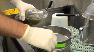 Extraction of Meloidogyne Eggs [upl. by Kcam]