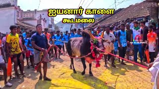 Gudamalai Iyanar Jallikattu Kalai  Gudamalai Jallikattu  GN BLUE PENCIL [upl. by Cece]