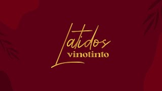 La Federación Venezolana de Fútbol presentó su nueva imagen “Latidos Vinotinto” [upl. by Notpmah]