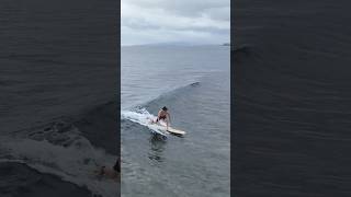 Beginner scores a good wave surfing wavestorm softtop beginnersurfer hawaii [upl. by Bodi]