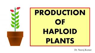 Production of male and female haploid plants  Anther Pollen Ovary and Ovule culture [upl. by Catharine]