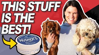 Best Dog Paw Care For Winter  Mushers Secret Review [upl. by Lura]