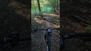 Trail MTB Parco Lura PT2 [upl. by Kali211]