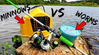 Live Bait Fishing Challenge WORMS vs MINNOWS Which is Better [upl. by Jehias466]