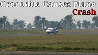 Crocodile Causes Plane Crash The Filair Incident [upl. by Ciapha984]